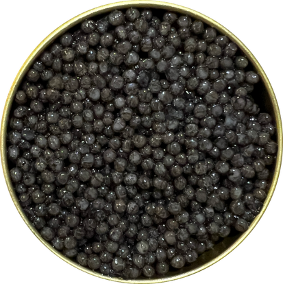 iranian beluga caviar