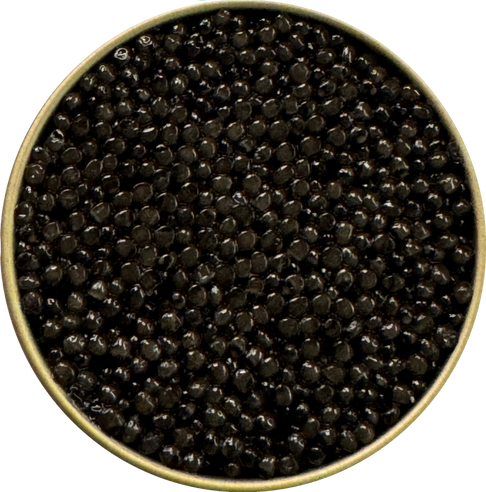 baerii caviar 